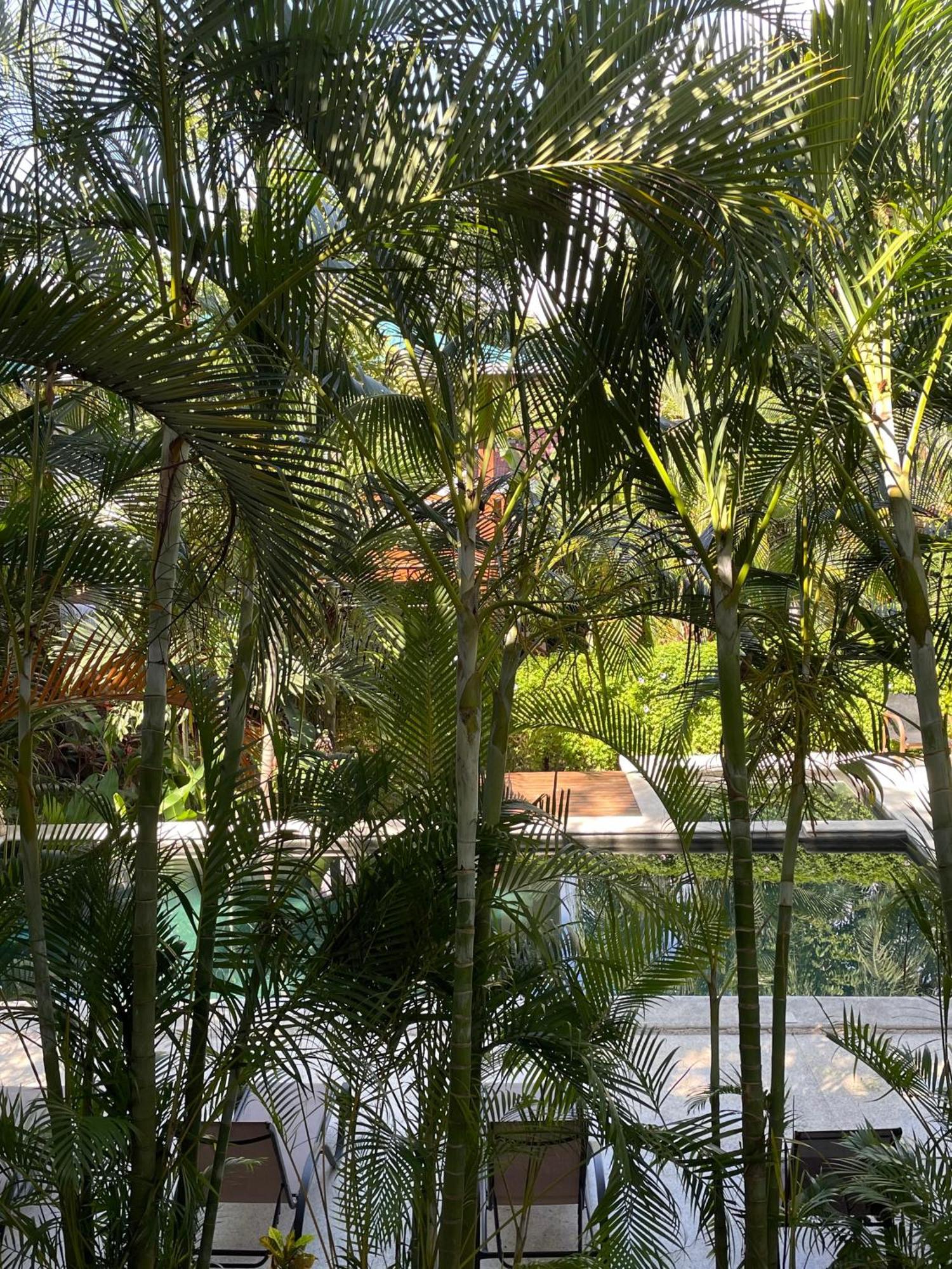 Ohana Villas Playa Santa Teresa  Exterior foto