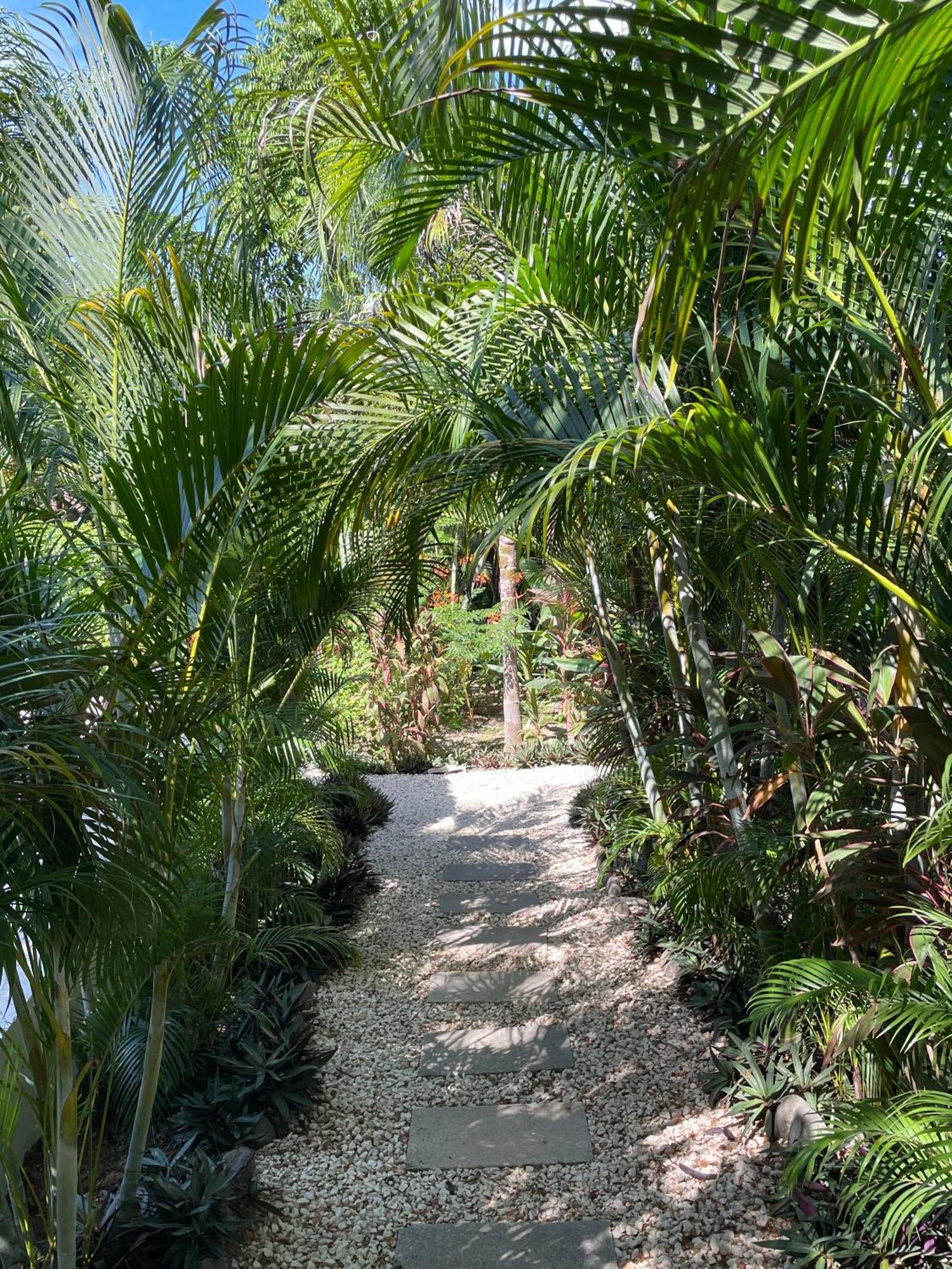 Ohana Villas Playa Santa Teresa  Exterior foto